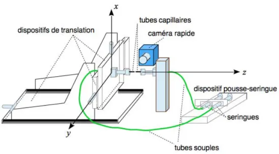 Figure 1: Représentation schématique du dispositif de génération des gouttelettes et de suivi optique du processus de coalescence.