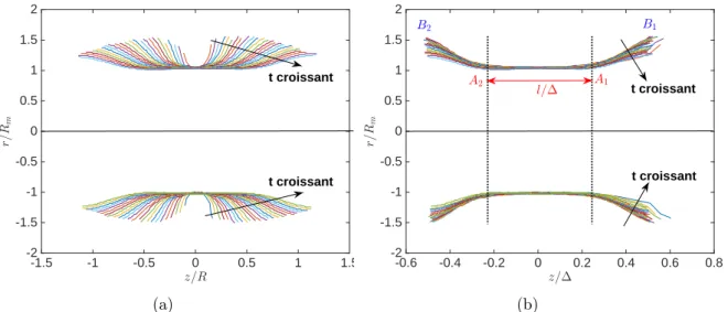 Figure 4: Profils du pont dans le cas de deux gouttes de solution de MgSO 4 iden-