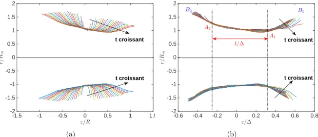 Figure 5: Profils du pont dans le cas de deux gouttes de solution de MgSO 4 , de