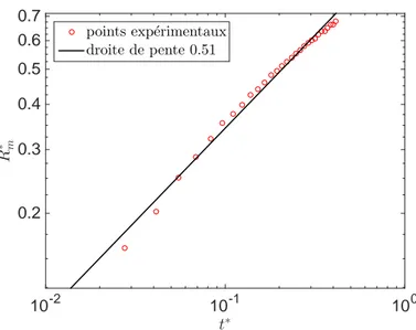 Figure 16: Diagramme logarithmique pour le PDMS, donnant l’évolution temporelle de la largeur R ⇤