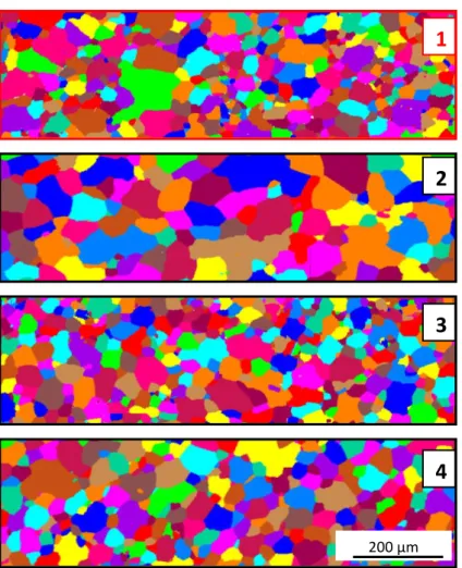 Figure III-23 : Cartographies des grains des états déformés à   ̇  puis recuits pendant 