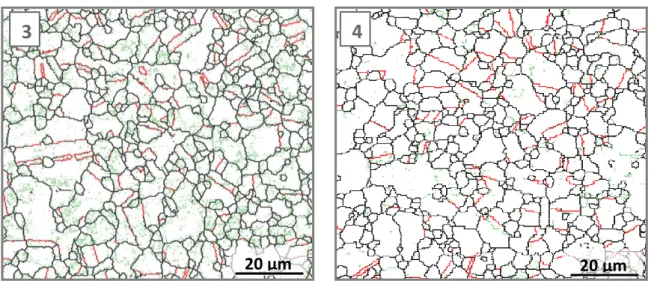 Figure III-10 : Evolution de la microstructure au cours de la déformation à   ̇ . Joints  de grains (>5°) en noir, joints Σ3 (tolérance 2°) en rouge et désorientations internes en vert  (2-5°)