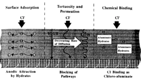 Figure 3.6  Mécanismes contrôlant la pénétration des ions chlores dans les bétons [Jones et al., 1993]