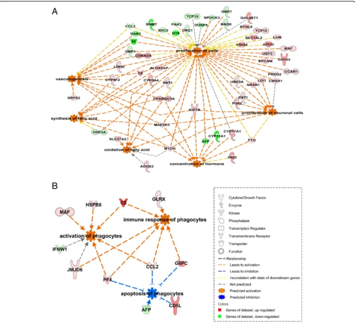 Fig. 5 IPA network approach using Disease and Function analysis applied to DEGs in MS (a) and LW (b) at day 110 compared to day 90