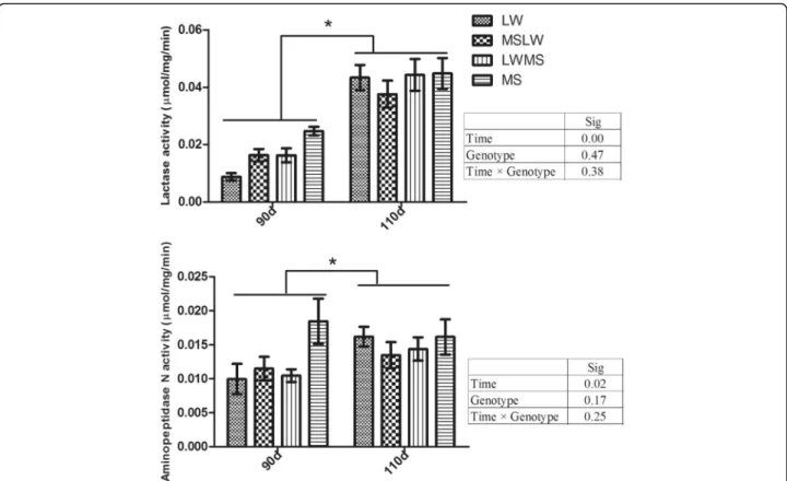 Fig. 2 Jejunum lactase and aminopeptidase N activities in fetuses with different genotypes (Genotype) at 90 and 110 day of gestation (Time)
