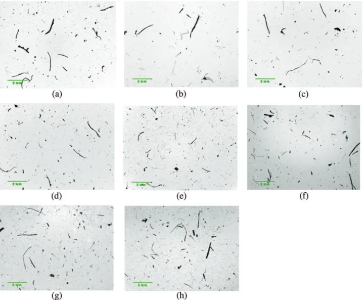 Fig. 6. Microscopic images of ﬁbers taken during their morphological analyses using the MorFi Compact analyzer: for extrudates E 1 – E 5 (a–e) and for pulps P 1 – P 3 (f–h).