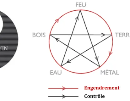 Figure 3 : Le Tai Ji et les cycles d’engendrement et de contrôle 