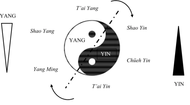 Figure 5 : Le Tai Ji et les 6 niveaux énergétiques 