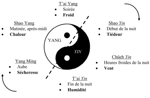 Figure 6 : Le Tai Ji, le cycle nycthéméral et les énergies atmosphériques 