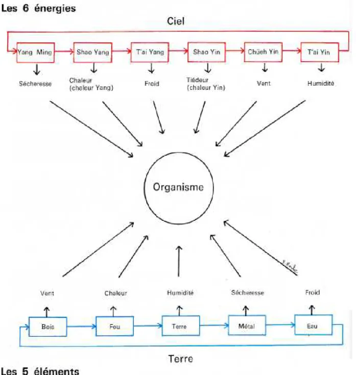 Figure 9 : Organisme et influence des énergies célestes et terrestres 