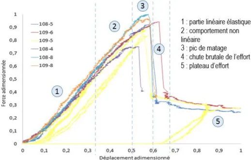 Fig. 5 : Courbes de comportement en matage 