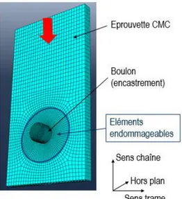 Fig. 8 : Maillage et conditions limites de la simulation de l’essai de matage 