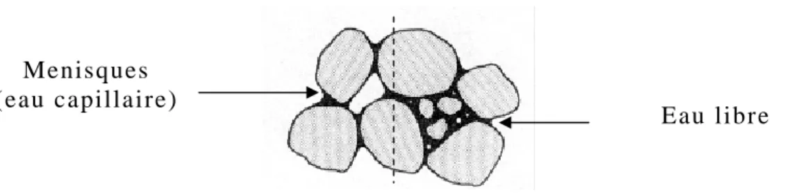 Figure  1.2 : Fluide Interstitiel entre les grains solides : eau libre et eau  capillaire