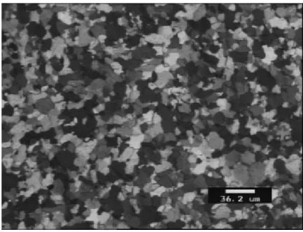 Figure 51 : Microstructure du Zircaloy-4 issu de laminage à chaud, observation à coeur