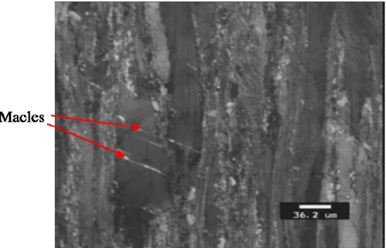Figure 56 : Microstructure en peau de barre filée à 685°C, v ref /10 et  λ =  λ ref . Direction de 