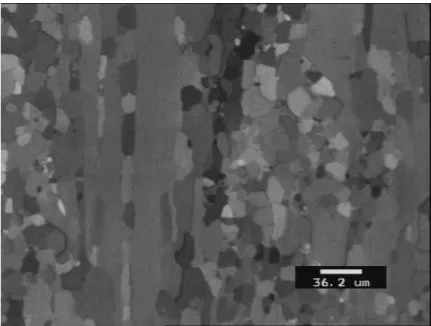 Figure 74 : Microstructure à cœur de barres filées à 752°C, v ref   et  λ =  λ ref , puis TTH de 5 min 