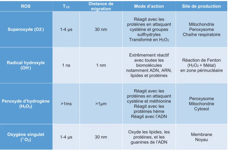 Tableau 1 : Propriétés et cibles de différents ROS  (d'après M ittler 2016).  