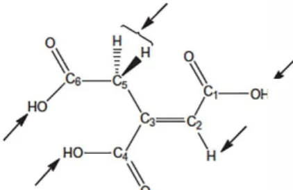 Fig.  1.  Trans-aconitic  acid  numbering  and  st udied  positions  of  hydrogen  abstraction