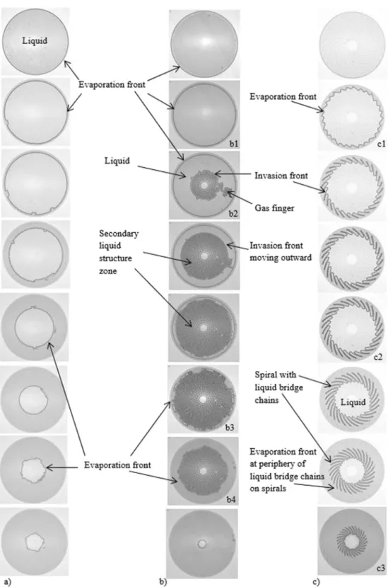 Figure 3.  Phase distributions. (a) Liquid phase in light grey, darker regions correspond to regions containing  gas-liquid interfaces): (a) Images of liquid-gas phase distribution during drying in the stable system; (b) Images  of liquid-gas patterns duri