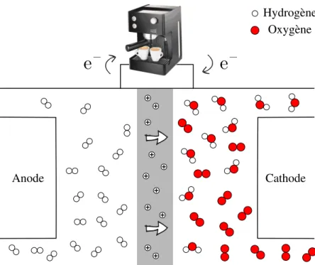 Figure 3 – Fonctionnement d’une pile à dihydrogène. À l’anode, le dihydrogène est oxydé en protons : H 2 −−→ 2 H + + 2 e – 