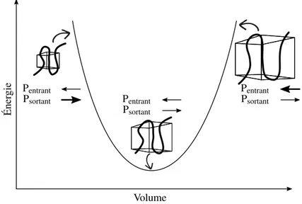 Figure 14 – Équilibre mécanique. Lorsque la boîte est trop grande, la pression entrante n’est pas compensée par la pression qu’exerce le polymère sur le milieu