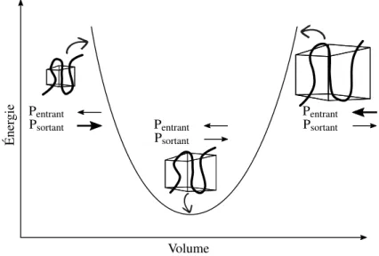 Figure 14 – Équilibre mécanique. Lorsque la boîte est trop grande, la pression entrante n’est pas compensée par la pression qu’exerce le polymère sur le milieu