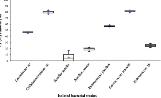 Figure 1.  chromium removal percentage by isolated bacterial strains in lB medium, after 48 h incubation  at 30 °c, 150 rpm.