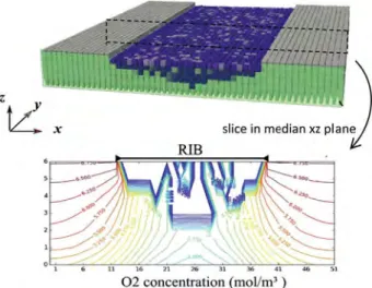 Fig. 13 e Distribution of the current density (a), electrical potential (b), and power density (c) at the MPL/CCL interface under wet condition, i ¼ 1.4 A cm ¡2 , RH