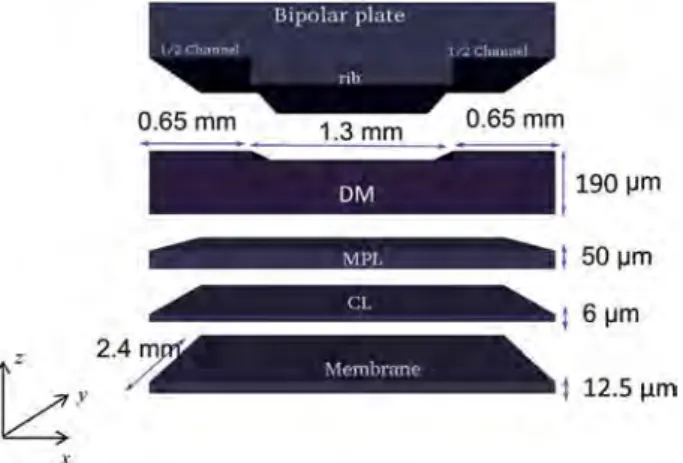 Fig. 1 e Cathode model at the ribechannel scale.