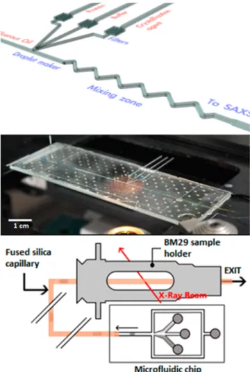 Figure 1. Design of micro ﬂuidic chip conﬁguration (top). Picture of a micro ﬂuidic chip mounted on a microscope (middle)