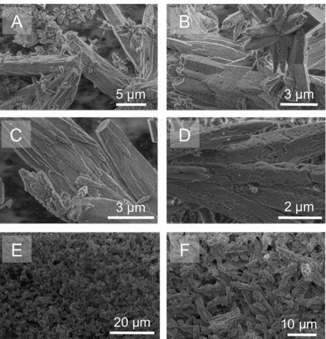 Fig. 10. SEM micrographs of aragonite crystals grown on aragonite seed crystals in the presence of orthophosphate (pH 7.8, 0.15 M NaCl, 37 °C) or equilibrated with orthophosphate ions (pH 8.2, 0.15 M NaCl, 25 °C): a,b: Aragonite seed crystals; c,d: Aragoni