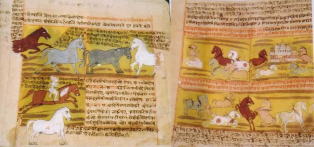 Figure 1 : Extrait du manuscrit de Shalihotra décrivant l’anatomie et la physiologie des chevaux  (Thelen, 2006).