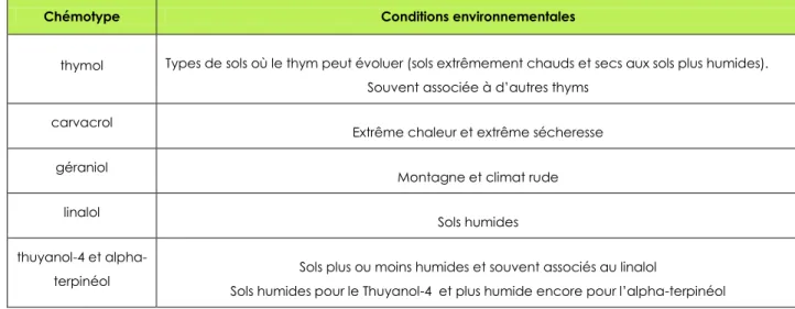 Tableau 2 : Les différents chémotypes du thym commun, Thymus vulgaris L. (Bruneton, 2009) 