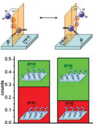Fig. 9. Kohn Sham and dispersive contributions obtained for the adsorption of DAE as a function of coverage