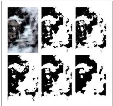 Figure 5. Predicted images for each network. From right to left and up to down (a) Input Image (b) Operator mask (c) Raw pixel prediction (d) Feature pixel prediction (e) Patch prediction (f) Superpixel prediction