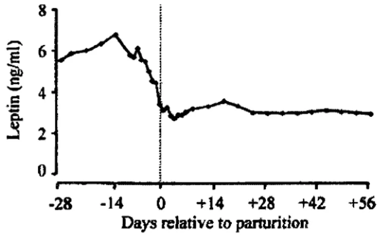 Figure 1.9 : Les changements de la concentration plasmatique de la leptine durant la periode  periparturiente chez la vache laitiere multipare
