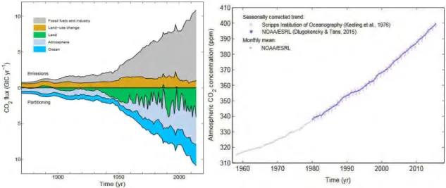 Figure I.8 presents the evolution of the carbon cycle since the end of the 19 th  century