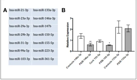 Figure 11: Chosen miRNA for study 