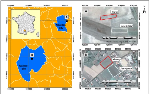 Figure 1. Location of the two study sites selected in southwestern France (A,B). Each site contains two