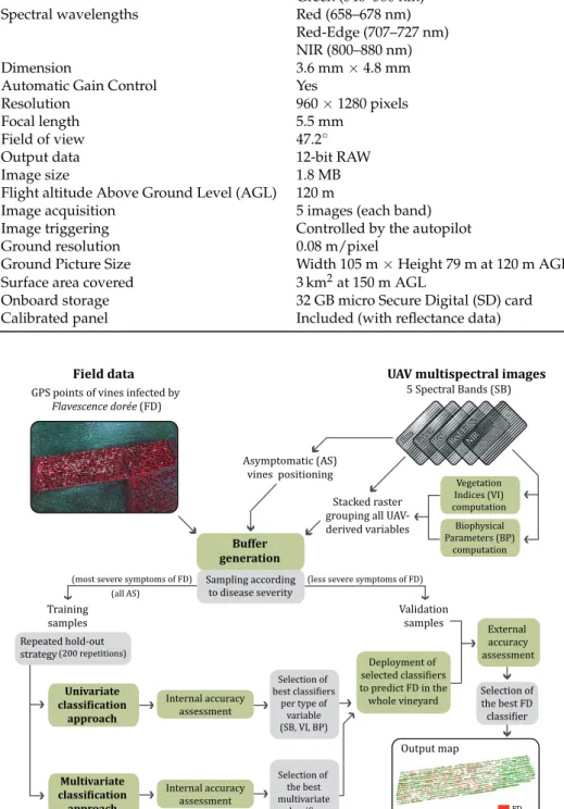 Figure 4. Methodological framework with the main steps of data acquisition, processing and analysis.