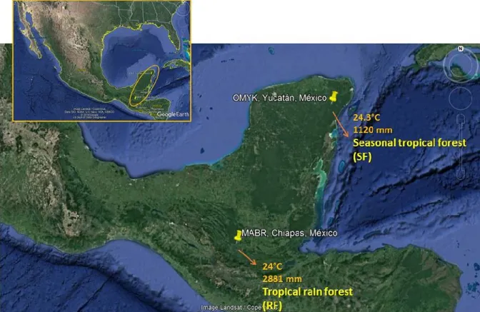 Figure 1.4. Map of the two study sites where the spider monkeys were studied,  Otoch Ma’ax Yetel Kooh (OMYK) in Yucatán, and the Montes Azules  Biosphere Reserve (MABR) in Chiapas