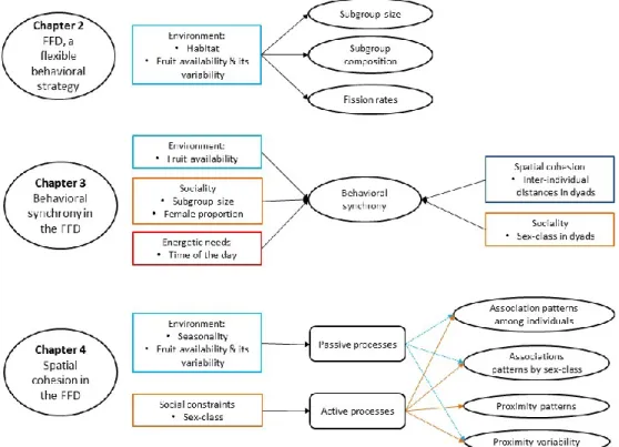 Figure 1.5. Organization of my main study objectives and thesis chapters.  