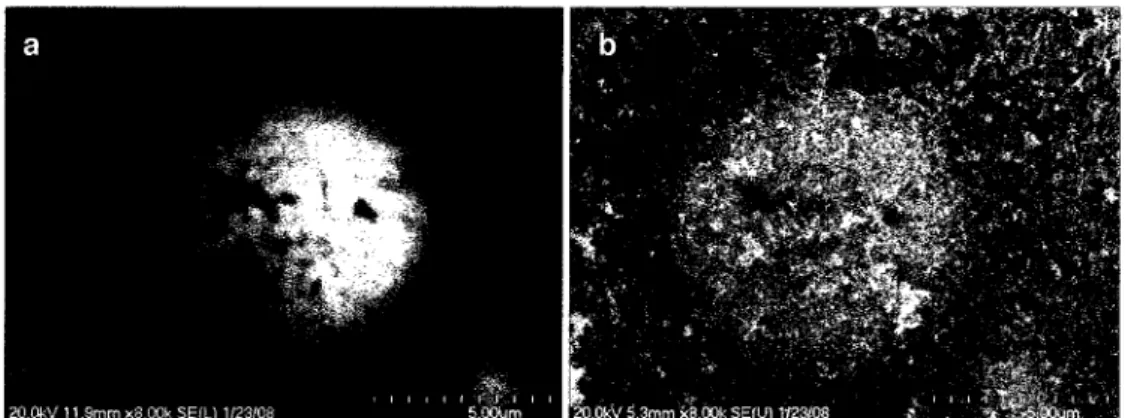 Figure 3.8 Image of a round shape particle found during EDS analysis taken by secondary electron beam with (a) low detector and (b) mix detector (low and high).
