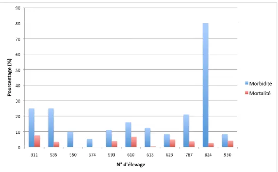 Figure  n°3 :  Pourcentages  de  morbidité  et  mortalité  dans  11  des  15  élevages  touchés  par  les  diarrhées 