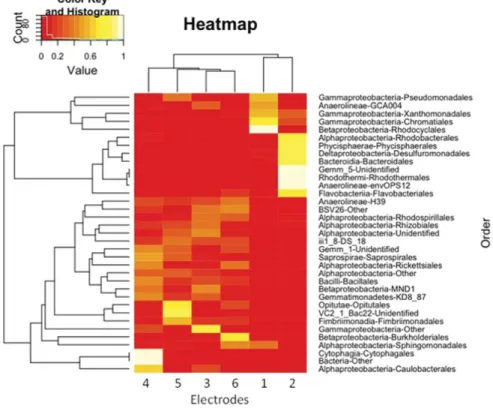 Fig. 5. Heatmap of the normalized bacterial abundance at the order level (ﬁlter at 1% of abundance on at least 1 of the 6 electrodes) and hierarchical clustering.