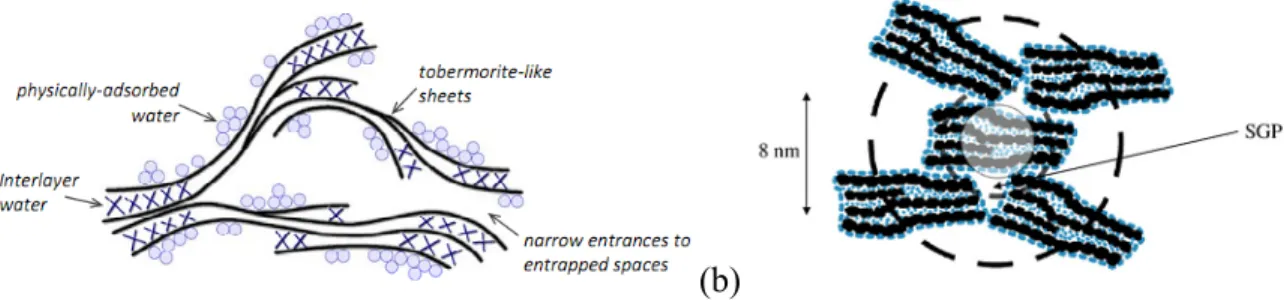 Figure 2.5 C-S-H models proposed by a) Feldman and Sereda and b) Jennings colloidal model