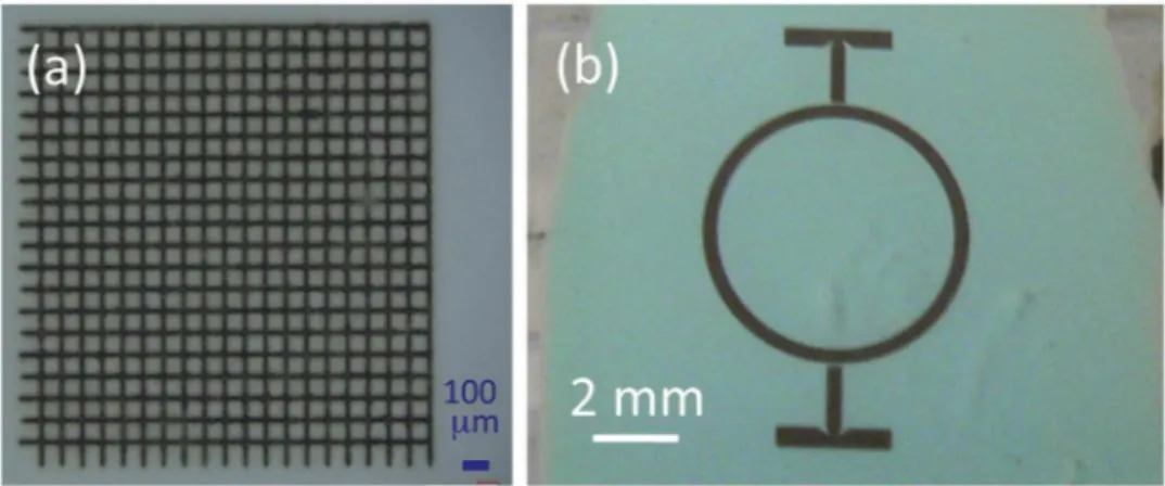 Fig. 6. Various two-dimensional structures formed in a film of copper oxalate deposited on polycarbonate substrate: (a) grid of pitch 100 micrometers (b) structure inspired by RF circuits.