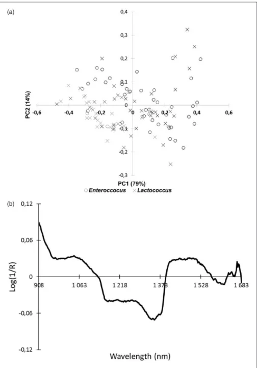 Figure 3. (a) Scatter plot of first two principal components (PC1 and PC2) for all bacteria spectra