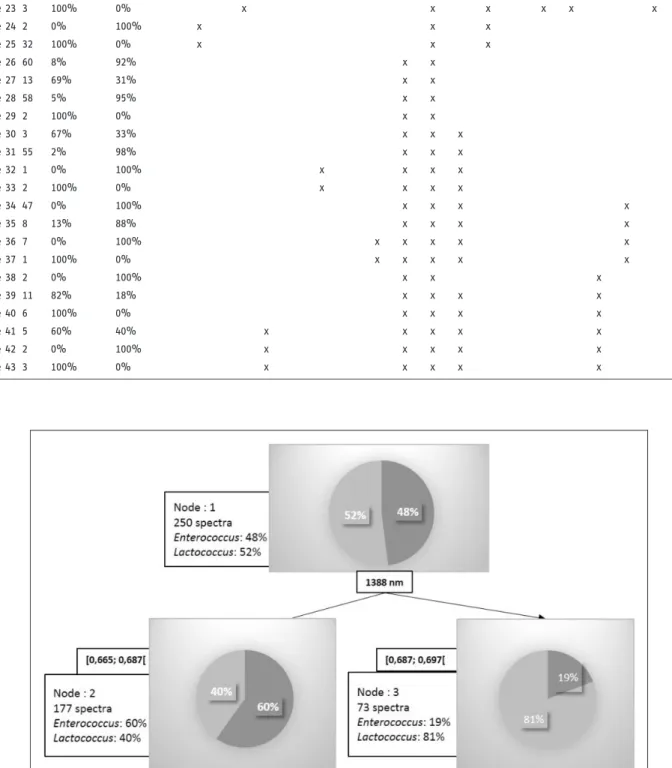 Figure 5. Procedure for classifying bacterial spectra regarding genera.
