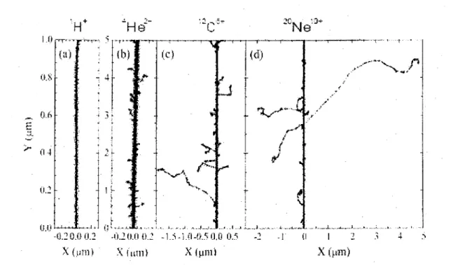 Figure 5.  Projections over the XY plane of track segments calculated (at  ~  10· 13  s) for 